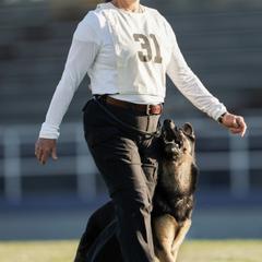 German Shepherds from Ruffhaus Kennels