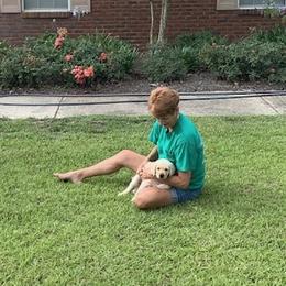 Labrador Retriever Puppies from Flashylabs AKC GRAND CHAMPION SIRED