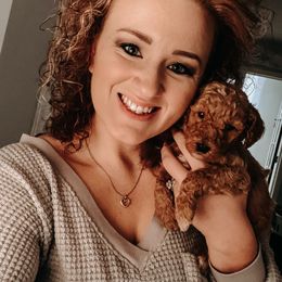 Goldendoodle Puppies from Thompson's Doodle Co.