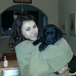 Labrador Retriever Puppies from Hanova Labradors