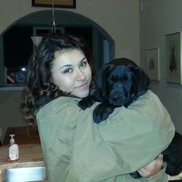 Labrador Retriever Puppies from Hanova Labradors