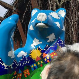 Sealyham Terrier Puppies from Alibi Sealyham Terriers