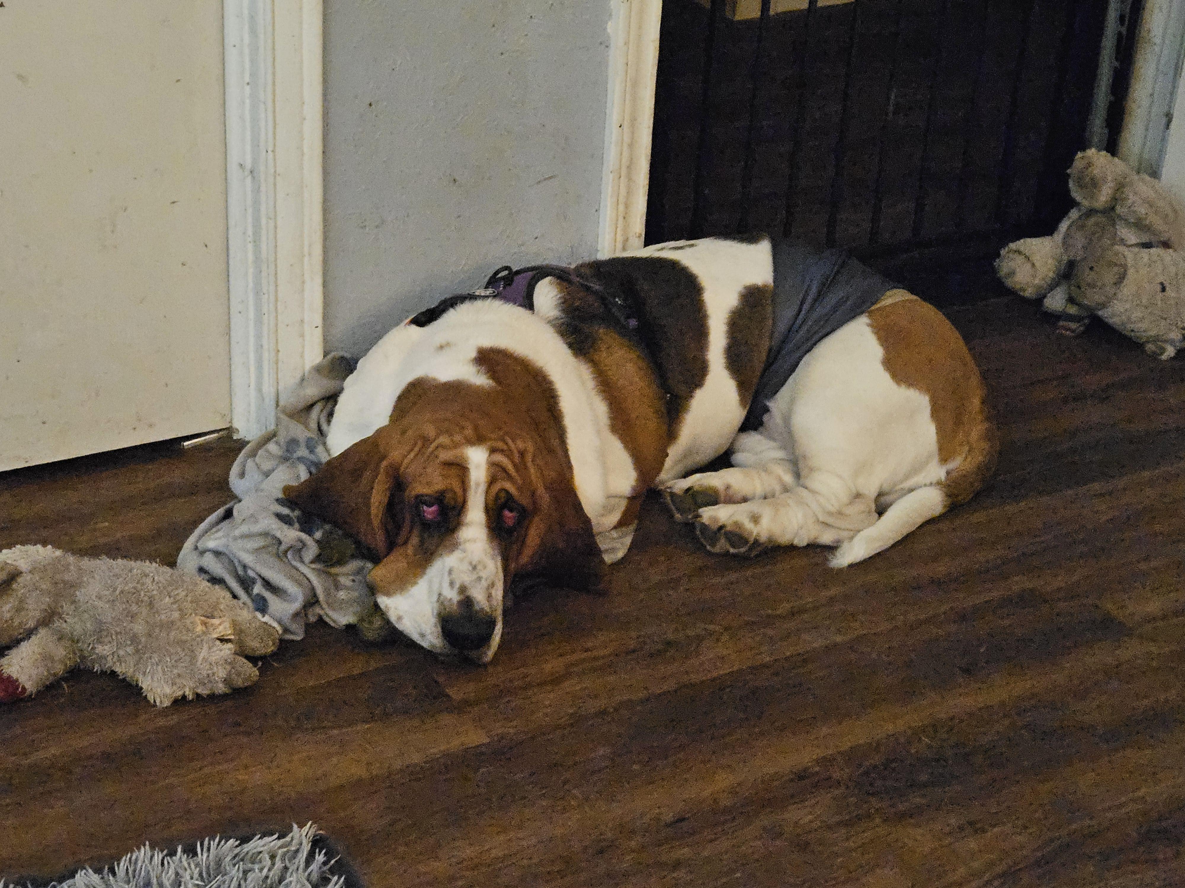 Charlie