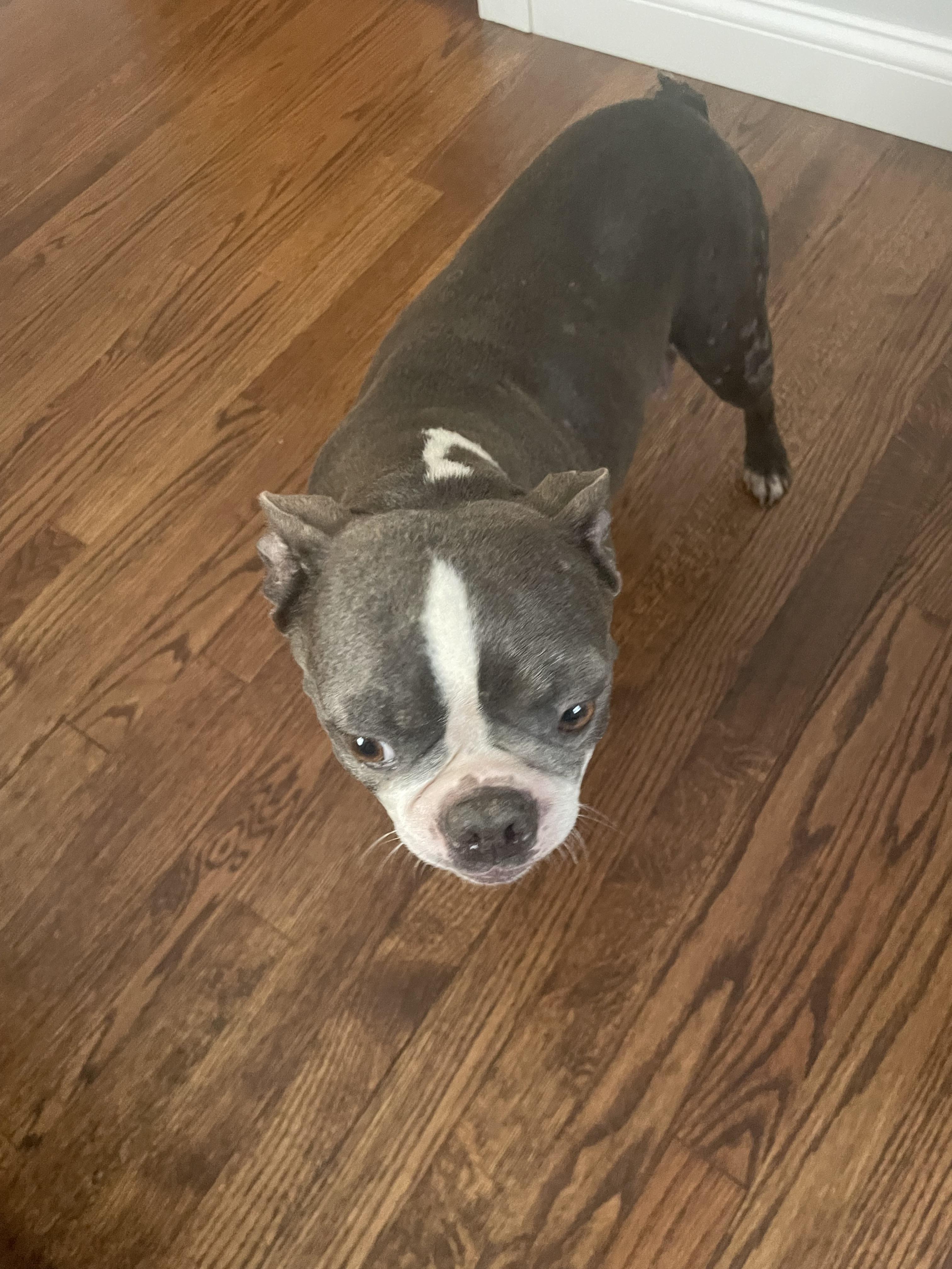 Chloe