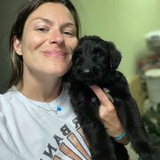 Black boy - Black male Briard puppy in Frankford, West Virginia from Honey Bee Hill