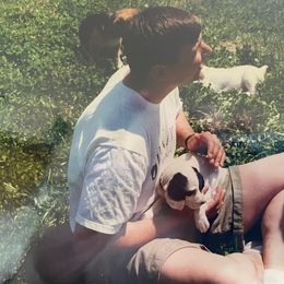 English Setter Puppies from English Setter Farms