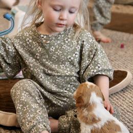 Bernedoodle and Cavapoo Puppies from Lawler’s Legacy Litters