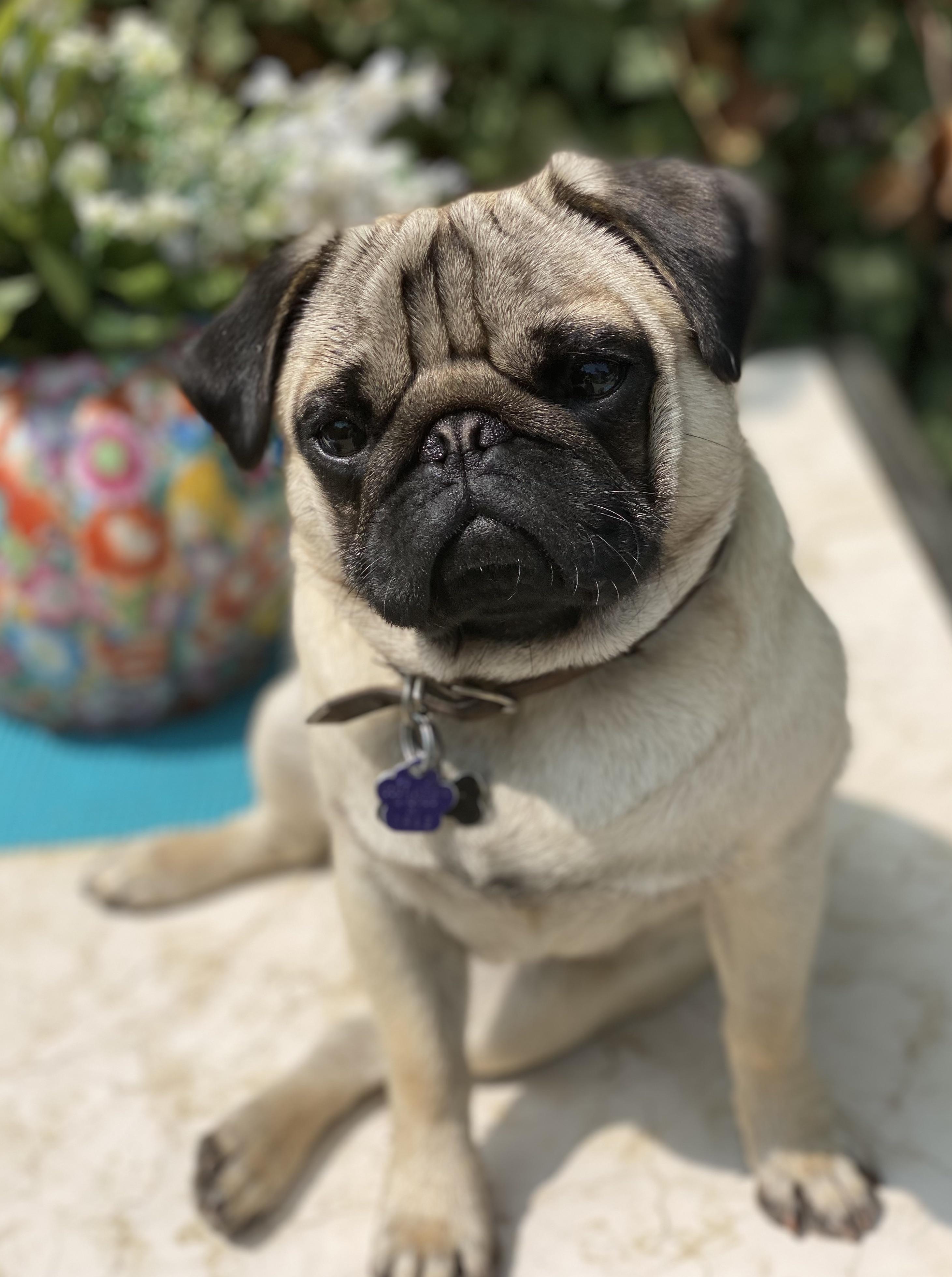 Winston