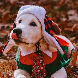 Golden Retriever Puppies from Golden Heart Creams