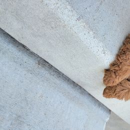 Goldendoodles and Poodles from Tender Little Paws