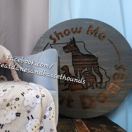 Purple collar - Harlequin female Great Dane puppy in Alton, Illinois from Show Me Great Danes and Basset Hounds