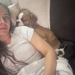 Boxer Puppies from Nala’s Pride