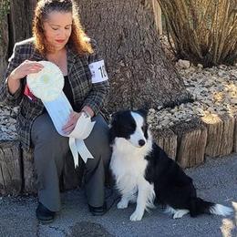 Olivia - Border Collie