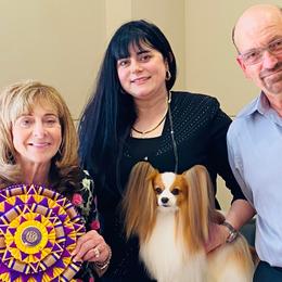 Havanese and Papillons from InVolo Papillons & Havanese