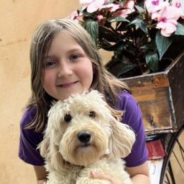 Bernedoodle and Goldendoodle Puppies from I Dream of Doodles