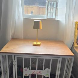 Shih Tzu Puppies from Oregon Shih Tzu