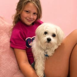 Maltese and Yorkshire Terrier Puppies from Maltese Dollhouse