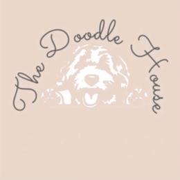 Goldendoodle Puppies from The Doodle House