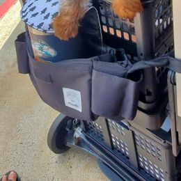 "shopping with yorky" Yorkshire Terrier Puppies from Palolo Yorkies