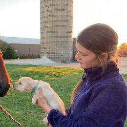 Labrador Retriever Puppies from Gochee Labs