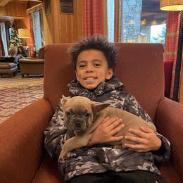 Pibble - Blue fawn male French Bulldog puppy in Pine Township, Pennsylvania from BlueCairo Frenchies