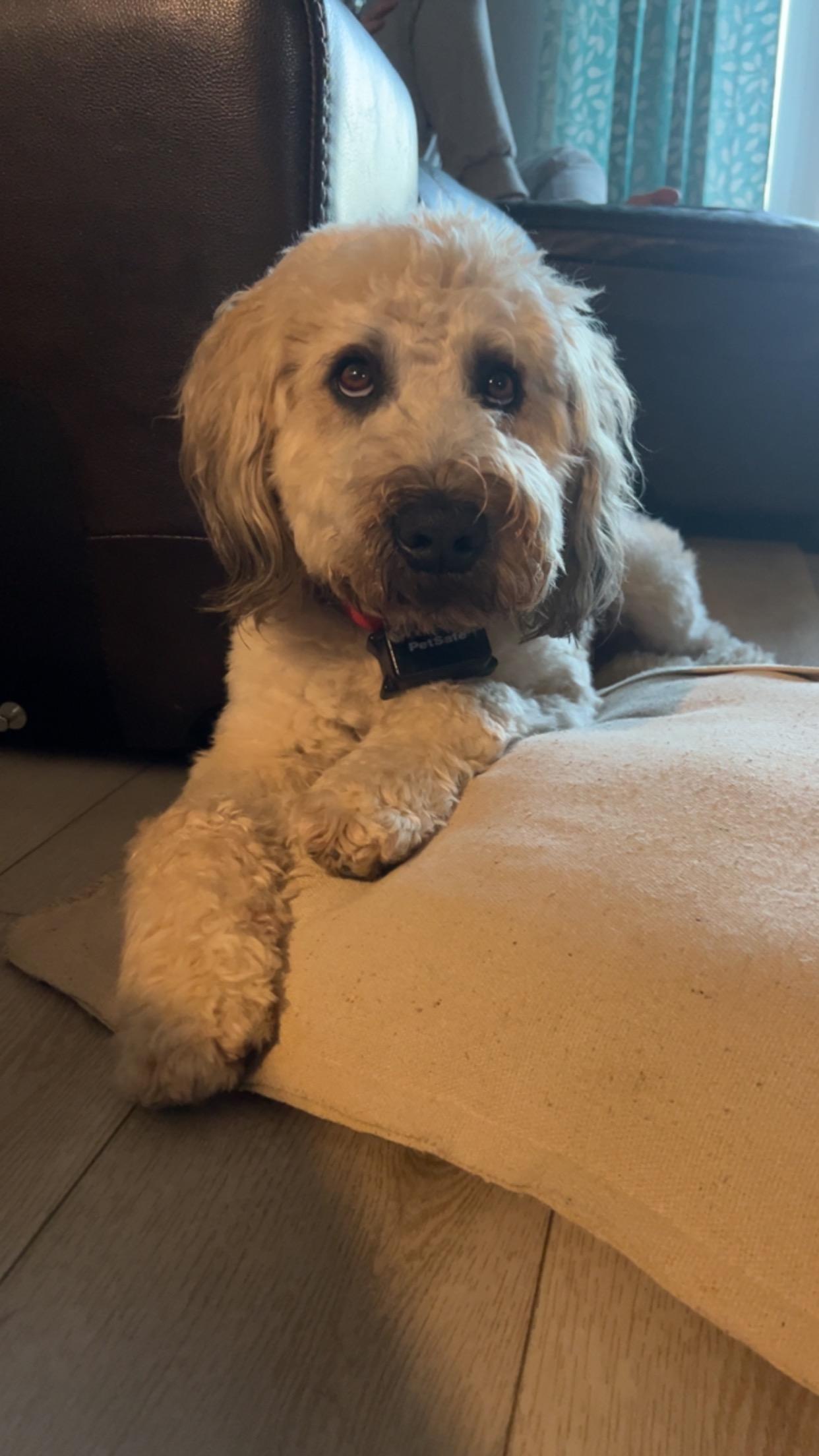 Winston
