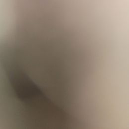 Sold to previous buyer - White and black female Shetland Sheepdog puppy in Minnesota from Sheltie Puppies