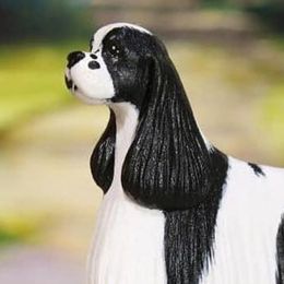 Cocker Spaniels from Lakota Cockers