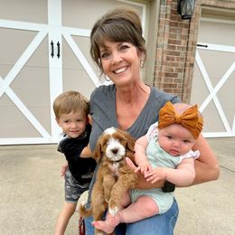 Goldendoodle Puppies from Halo Doodles