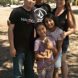 Dachshund Puppies from Mini Doxies R Us