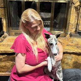Radar - White and fawn brindle male Whippet puppy in New Port Richey, Florida from Trezlar Whippets