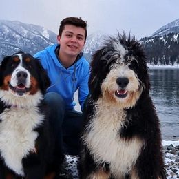 Huck - Bernedoodle