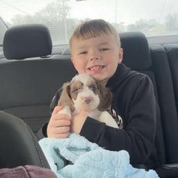 AKC Cupid has that RBF face like his momma - Piebald male Dachshund puppy in Erie, Michigan from Champagne’s Grinch Toe’d Dachshunds