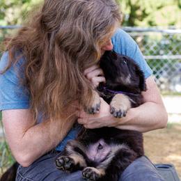German Shepherd Puppies from Zwinger Vom Rabenauge