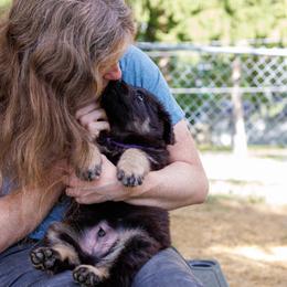German Shepherd Puppies from Zwinger Vom Rabenauge
