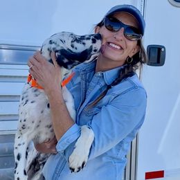 English Setter Puppies from Steens Mountain Setters