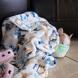 Pembroke Welsh Corgi Puppies from Loves Classic Corgis