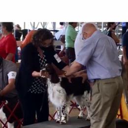 English Springer Spaniel Puppies from Burton English Springer Spaniels