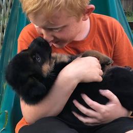 German Shepherd Puppies from Semper Fi K9 Montana