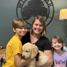 Calder - Light golden male Golden Retriever puppy in Seagrove, North Carolina from Willow Oak Farm Golden Retrievers