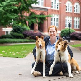 Collies from Storeybrooke Collies