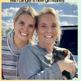 Biewer Terrier and Yorkshire Terrier Puppies from Southeast Biewers