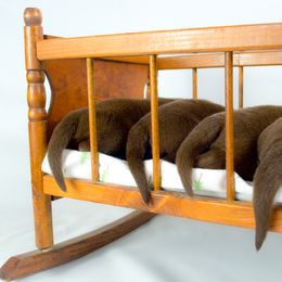 Labrador Retriever Puppies from Whiskey River Labradors