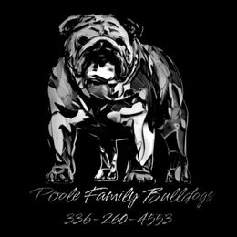 Bulldogs from POOLE FAMILY BULLDOGS