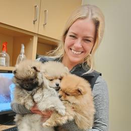 Pomeranian Puppies from Diamond-Pom