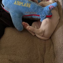 American Bulldog Puppies from Slayton's American Bulldogs