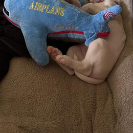 American Bulldog Puppies from Slayton's American Bulldogs