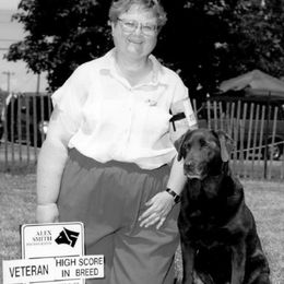 Labrador Retrievers from WoodDuck