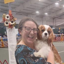 Mr. Blue - Blenheim male Cavalier King Charles Spaniel puppy in Erie, Pennsylvania from CAVALMAGNE