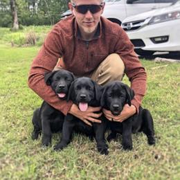 Labrador Retriever Puppies from Tried & True Labradors